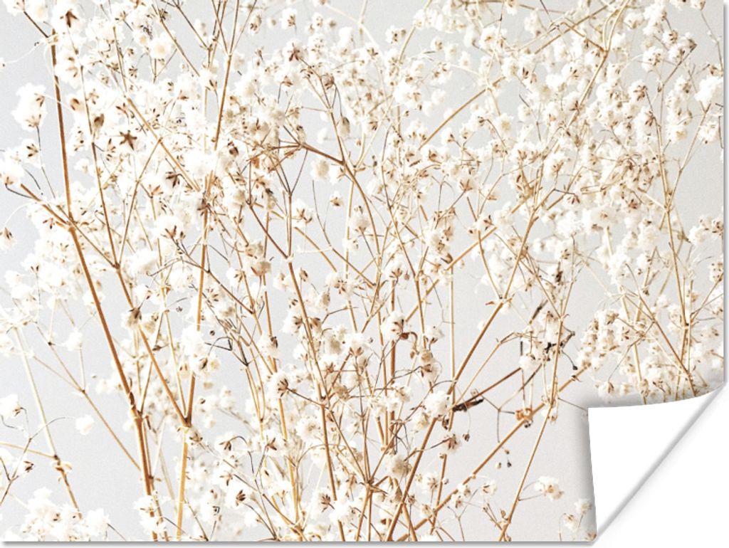 MuchoWow Poster Natur - Äste - Blumen 40x30 cm - Plakate für die Wände - Poster Wohnzimmer