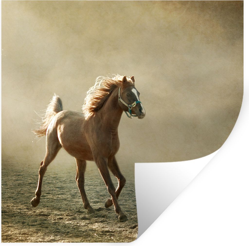 MuchoWow Wandtattoo Wandsticker Wandaufkleber Pferd - Sand - Nebel 100x100 cm Selbstklebend und Repositionierbar - Wierderverwendbar - Selbstklebend