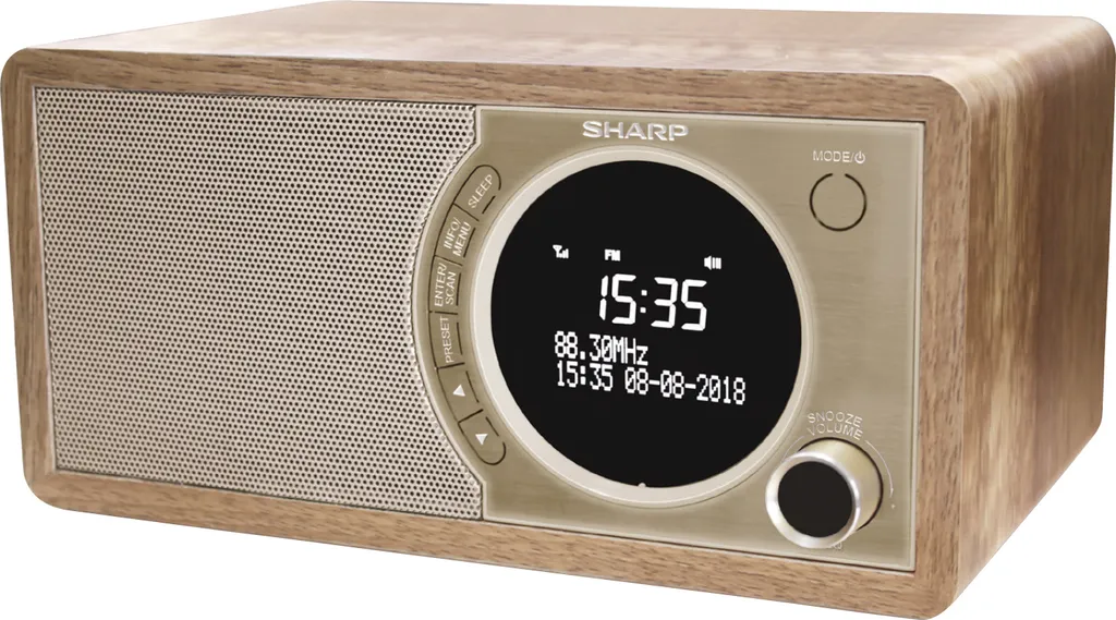 Radio Numérique DAB+ Sharp DR-450(BR) avec Enceinte Bluetooth en Bois - 17