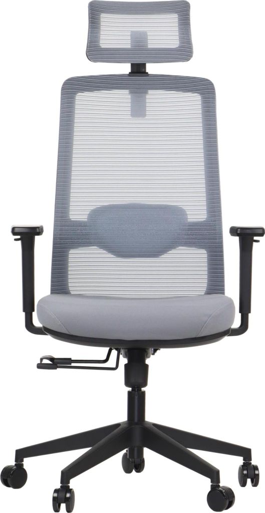 Ergonomischer Bürodrehstuhl WISTER, Nylon Basis, verstellbare Armlehnen, Kopfstütze und Lordosenstütze, Sitzverlängerung, Grau