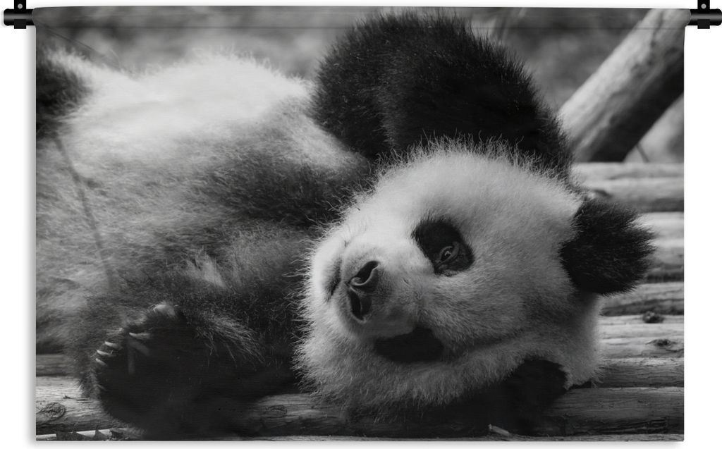MuchoWow Wandteppich Wandbehang Tierprofil rollenden Panda in schwarz und weiß 120x80 cm Tapisserie Dekoration Wandtuch - Wanddekorationen - Wan...