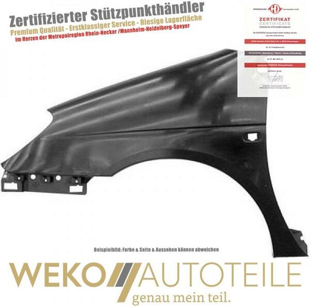 Kotflügel vorne links DIEDERICHS 4463407 für RENAULT