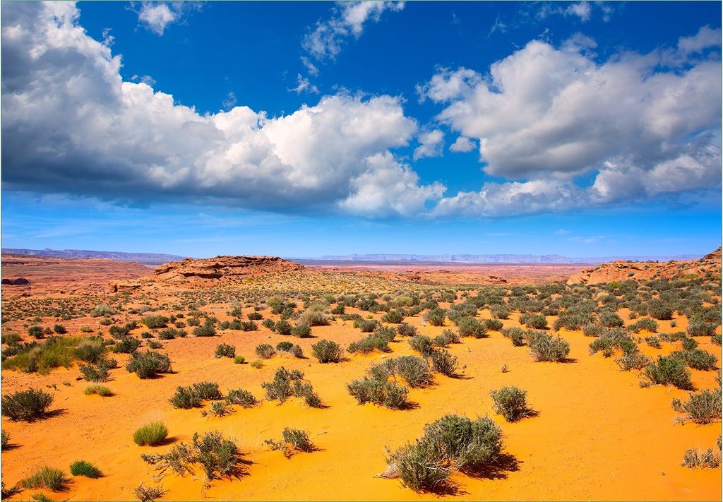 Wallario Fototapete Vliestapete, seidenmatte Oberfläche, einfache Verarbeitung, Größe 300 x 210 cm, Motiv Wüste in Arizona - blauer Himmel mit ...