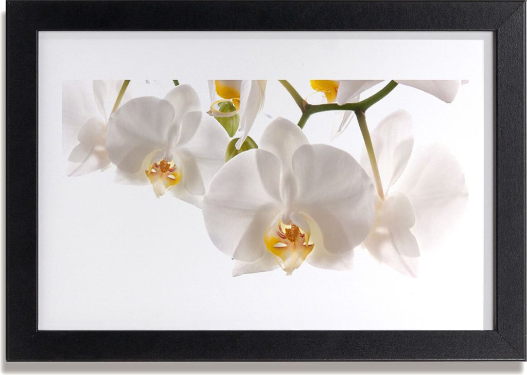 Bild 30x20 MDF-Rahmen Wandkunst Orchideen-Blumen-Natur
