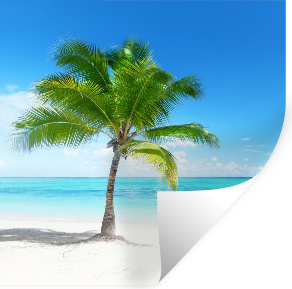 MuchoWow Wandtattoo Wandsticker Wandaufkleber Palme - Strand - Meer - Sommer 50x50 cm Selbstklebend und Repositionierbar - Selbstklebend - Fotota...