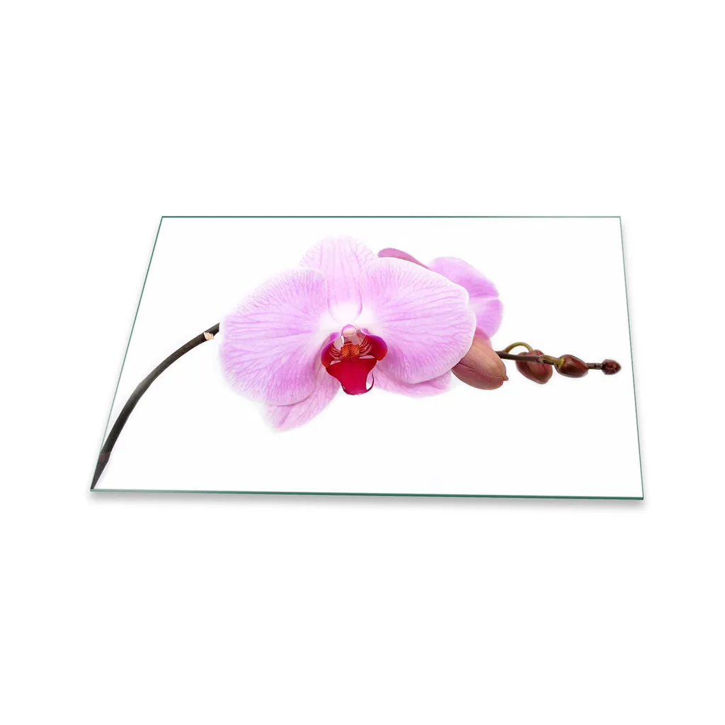 Copri Piano Cottura Vetro 80x52 Fiori Rosa | Tagliere XL Cucina
