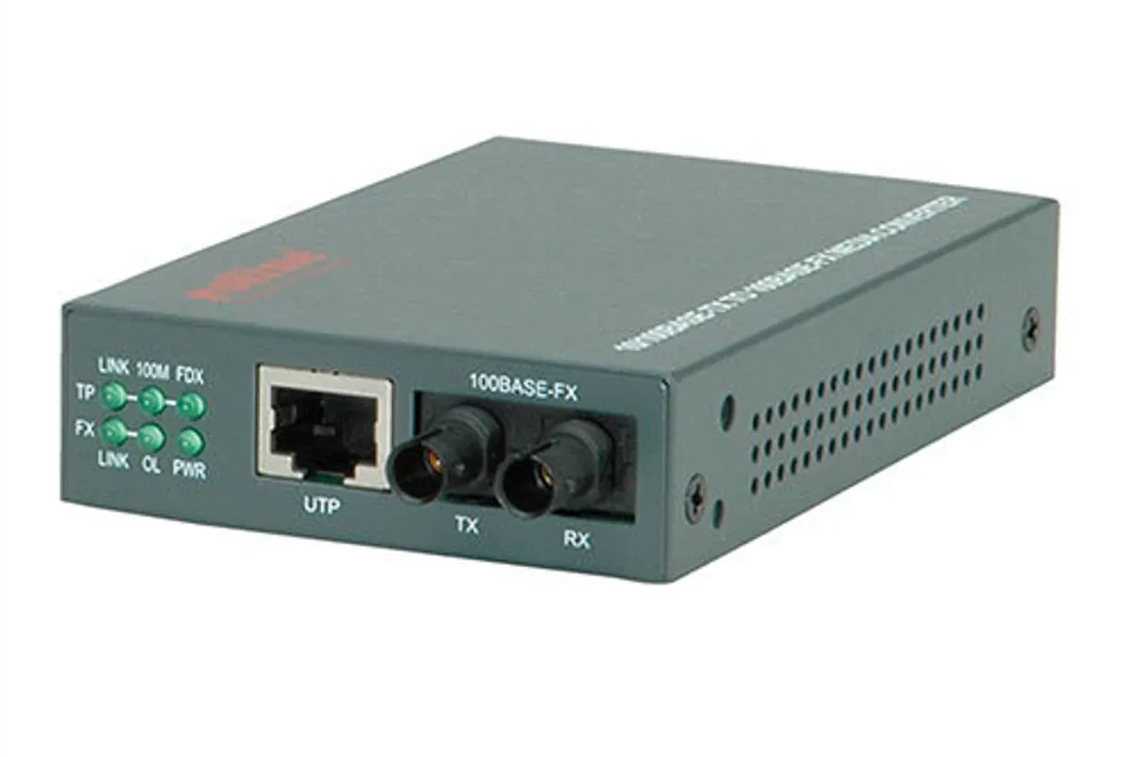 Convertisseur de Média Fibre Optique ST vers RJ45 ROLINE Fast Ethernet