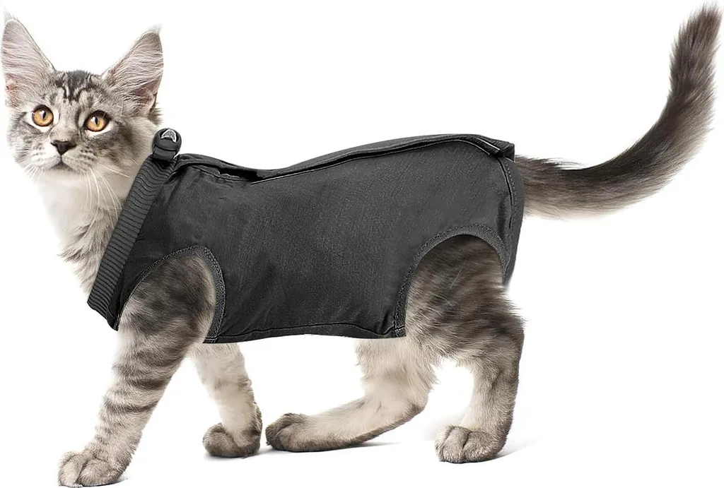 Protection abdominale chat après stérilisation - Body de soin confortable