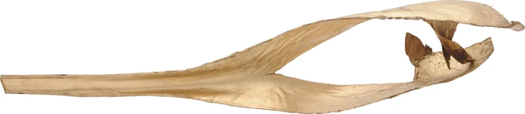 Europalms Foglia di Palma Oro 130cm | Decorazione Boho Chic Essiccata