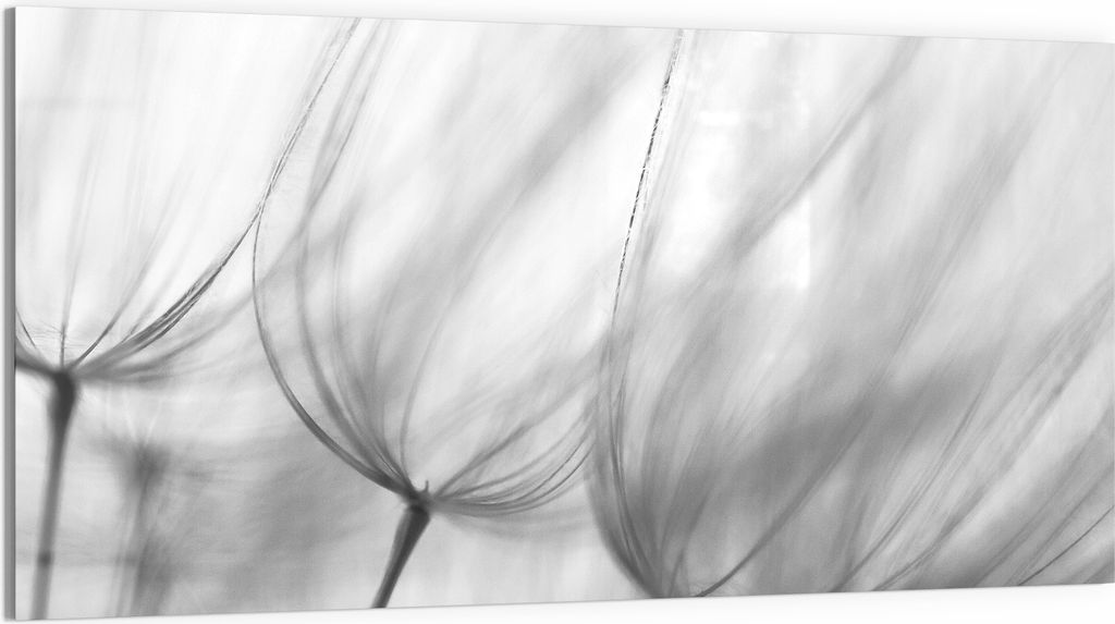 DEQORI Glasbild Acryl 100x50 cm 'Sanfte Konturen' Wandbild Bild modern Deko