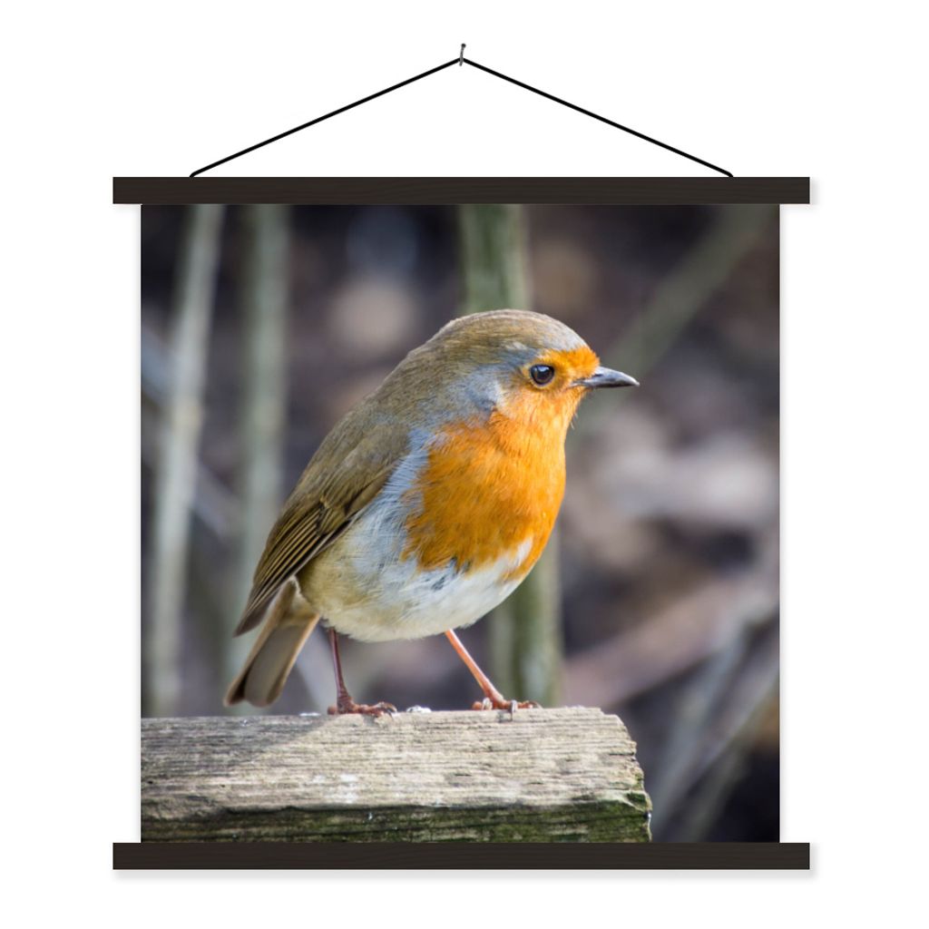 MuchoWow Textilposter Rotkehlchen - Winter - Holz 120x120 cm mit schwarzem Rahmen - Aufhängungsset