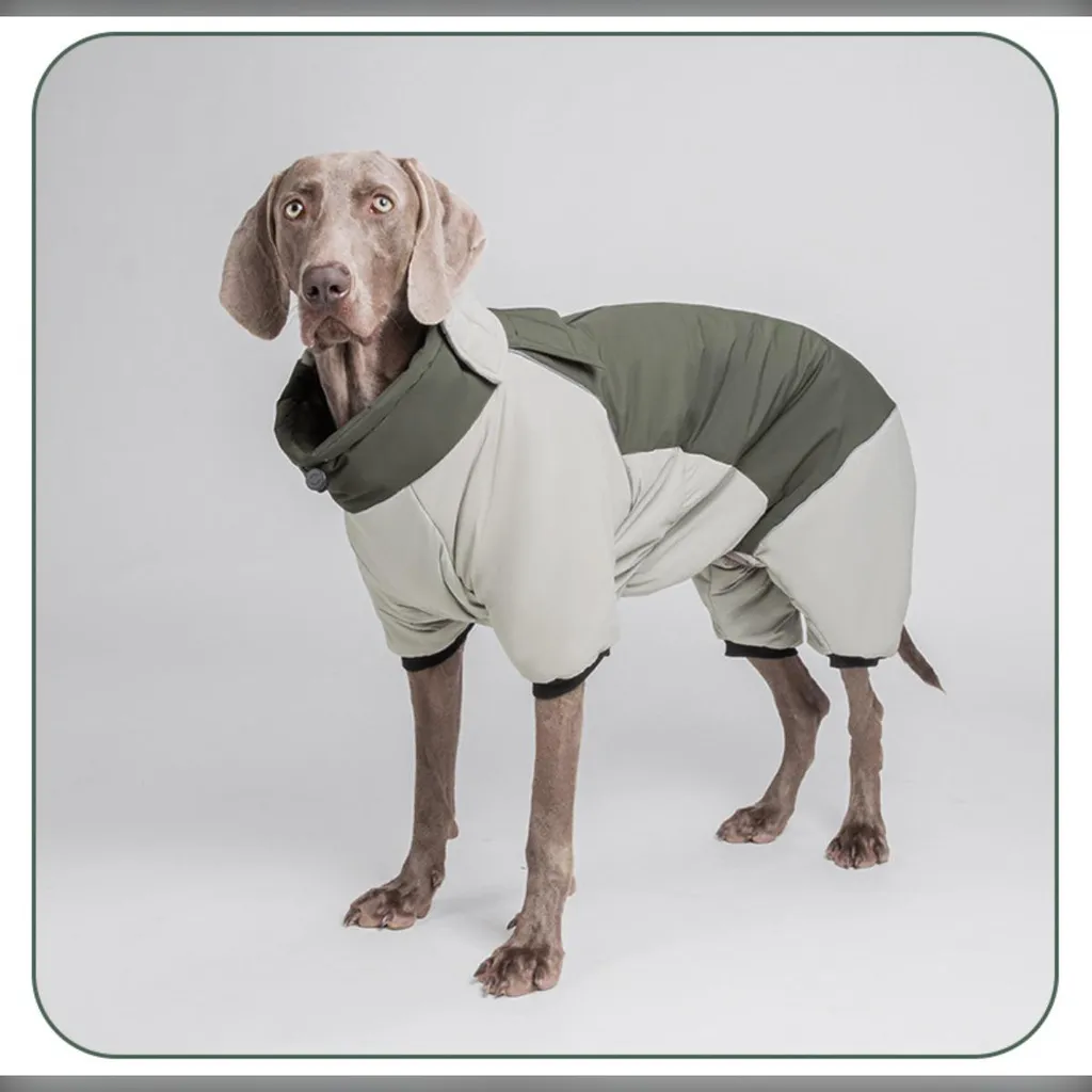Abbigliamento Invernale Cani XL | Tuta Neve Integrale Verde Impermeabile