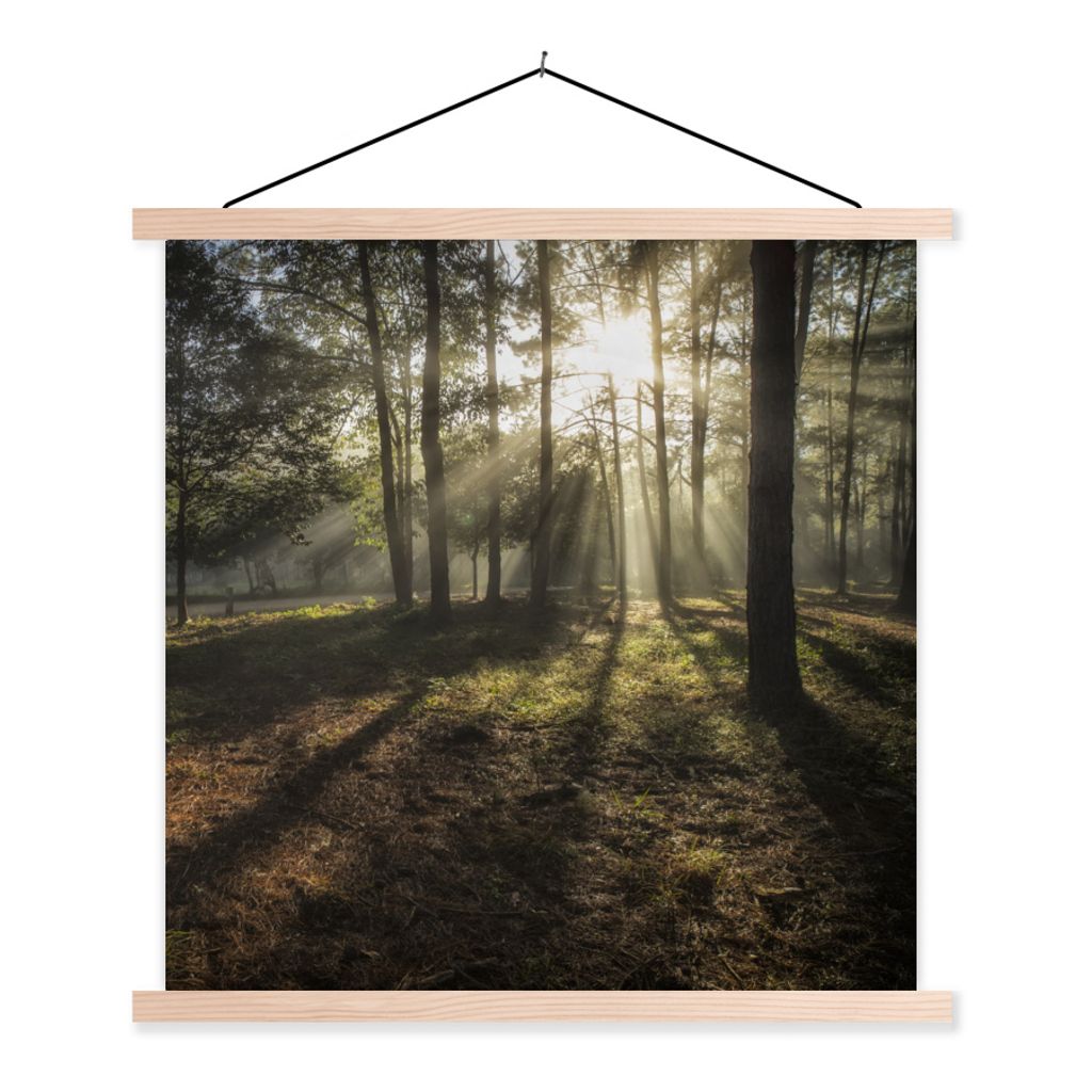 MuchoWow® Textilposter Wald - Sonne - Nebel 120x120 cm mit Produktbild 