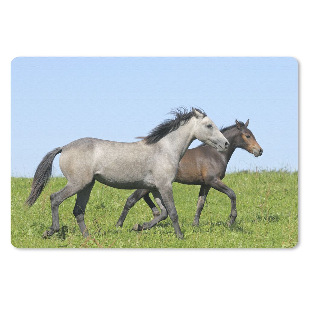 MuchoWow Schreibtischunterlage Pferde - Tiere - Gras 60x40 cm - XXL Mauspad - Großes Mauspad