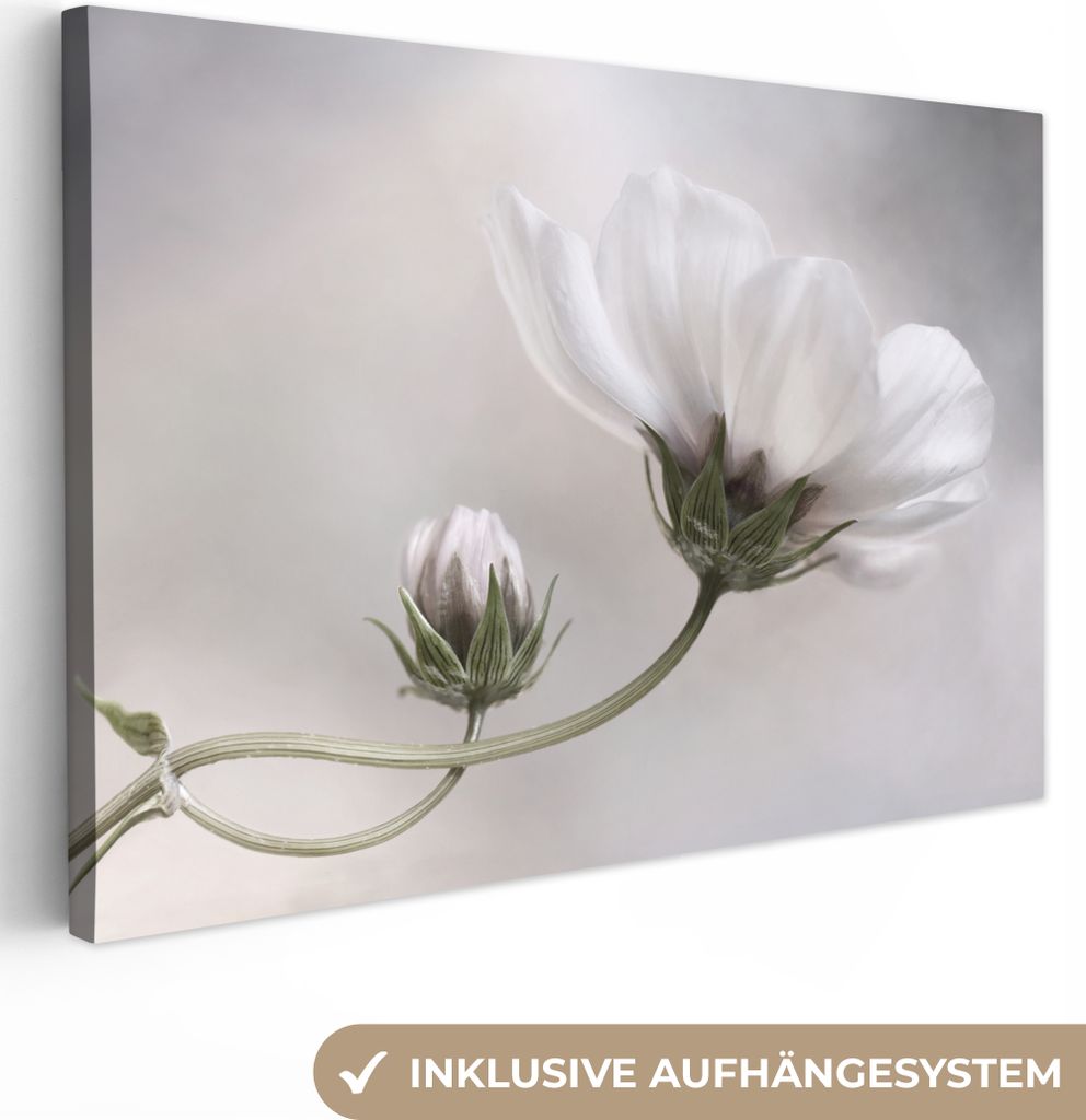 OneMillionCanvasses - Leinwandbilder - 140x90 cm, Blumen - Stillleben - Natur - Grau, Wandbilder Kunstdruck Wanddekoration - Foto auf Leinwand - ...
