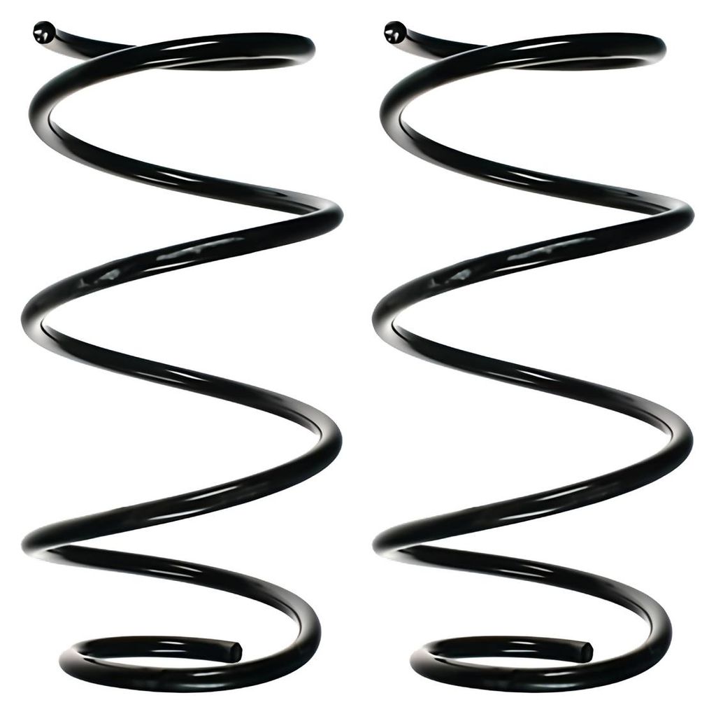 Fahrwerksfedern-Set Vorderachse Schraubenfeder Ø170mm SPIDAN für u.a. BMW 3er