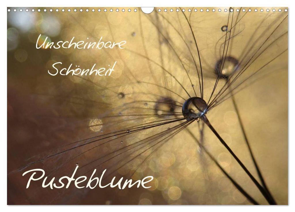 Unscheinbare Schönheit - Pusteblume (Wandkalender 2027 DIN A3 quer), CALVENDO Monatskalender