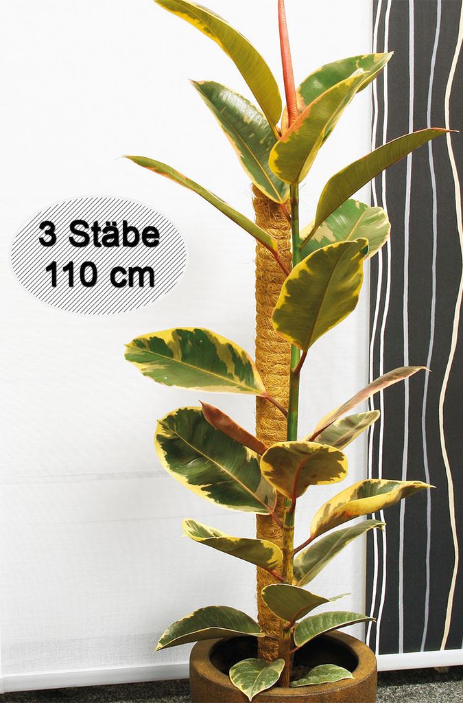 Novatool 3x kokosová tyč na rostliny 110 cm I Ø 45 mm I Obrázek produktu 