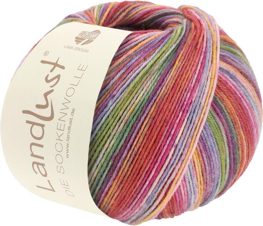 Lana Grossa LANDLUST DIE SOCKENWOLLE 100 g 4-fach Sockenwolle von Lana Grossa und Landlust 420 m, Farbe:803 - Bunte Ringel