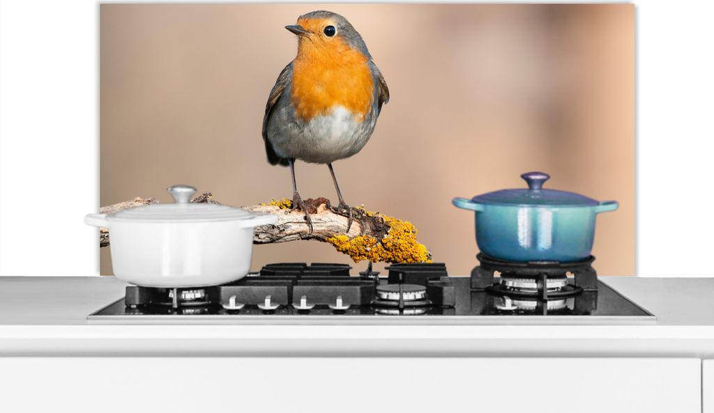 KitchenYeah Spritzschutz Küche - Küchenrückwand - Wandschutz für Herd und Spüle - Rotkehlchen - Vogel - Zweig - Tiere 100x50 - Alu-Dibond (...