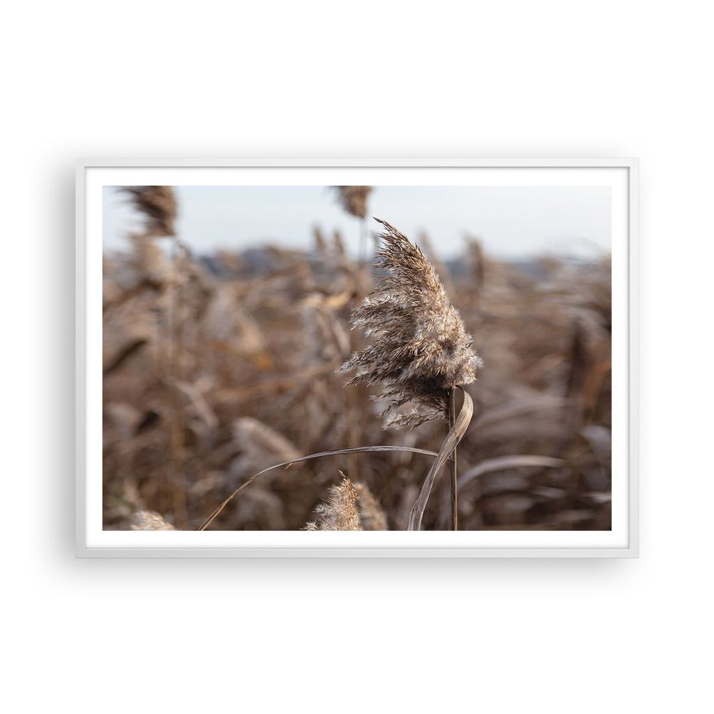 Gerahmtes Poster - Weißer Rahmen - Boho Ähren Gras - 100x70 cm - Wand Bild - Wanddeko - Wandbilder - Kunstposter - Wandposter - Bilderrahmen - Bi...