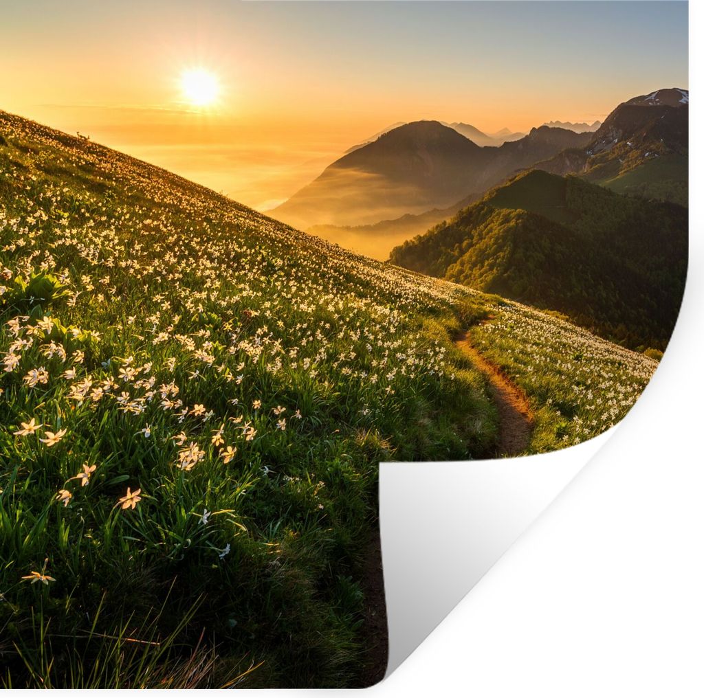 MuchoWow Wandtattoo Wandsticker Wandaufkleber Blumen - Sonne - Berge 80x80 cm Selbstklebend und Repositionierbar - Wierderverwendbar - Selbstklebend