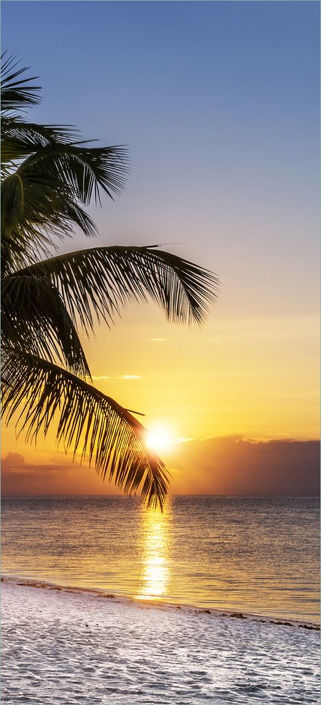 Türtapete Türposter Palme am Strand - Sonnenuntergang über dem Meer - Größe: 93 x 205 cm