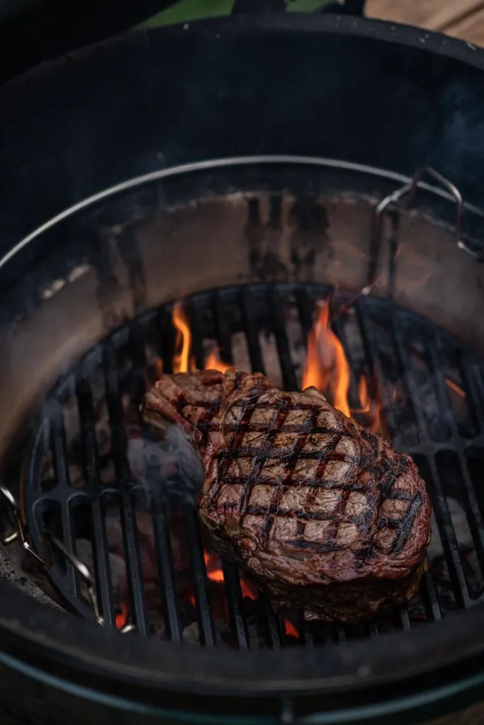 Grille multi-niveaux XL Big Green Egg en inox - Extension de cuisson Pro - 4