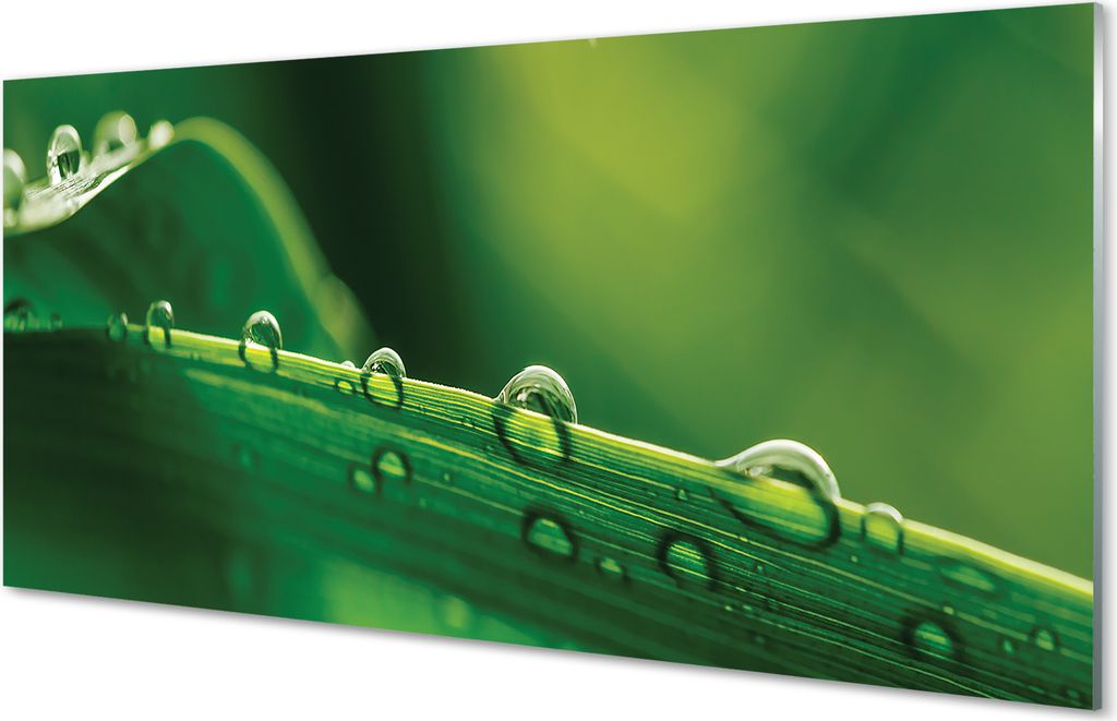 Glasbilder 140x70 Wandkunst Drops Gras Makro