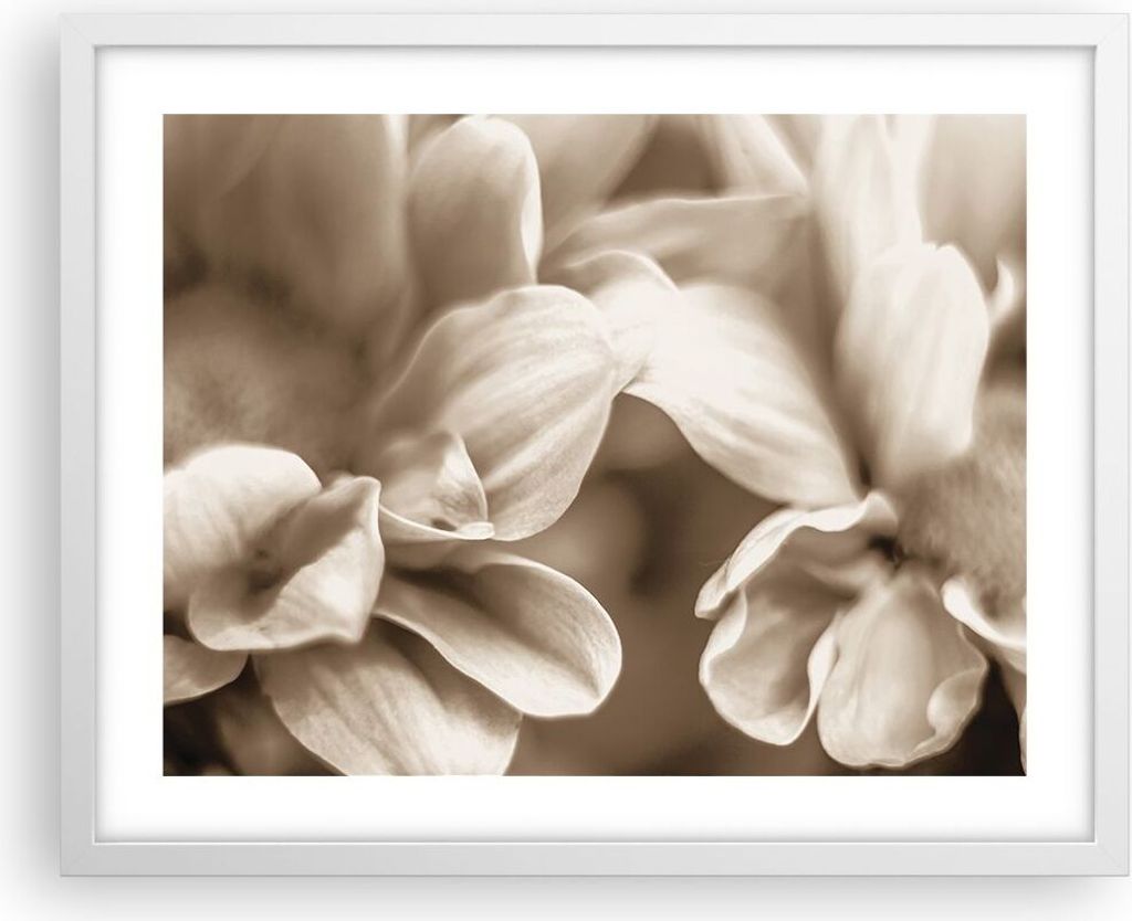 Gerahmtes Poster - Weißer Rahmen - Blumen Boho ohne - 50x40 cm - Wand Bild - Wanddeko - Wandbilder - Kunstposter - Wandposter - Bilderrahmen - Bil...