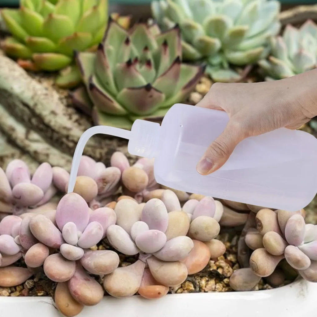 Bouteille d'Arrosage pour Terrarium et Bonsaï avec Bec de Précision