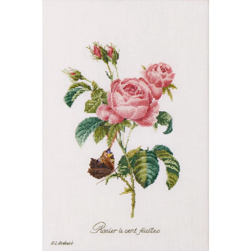 Kit broderie point de croix haute précision Rose Redouté Evenweave 26x38cm