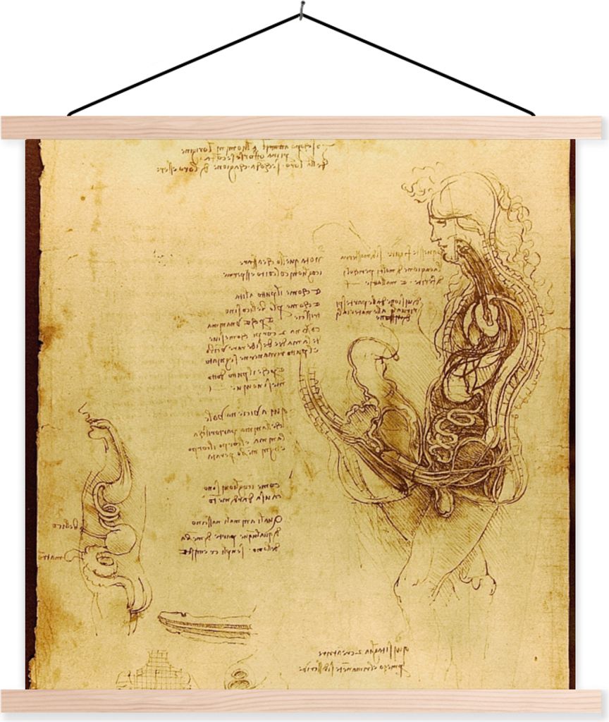 MuchoWow Textilposter Die menschliche Fortpflanzung - Leonardo da Vinci 40x40 cm mit holzfarbenen Rahmen - Posterleiste