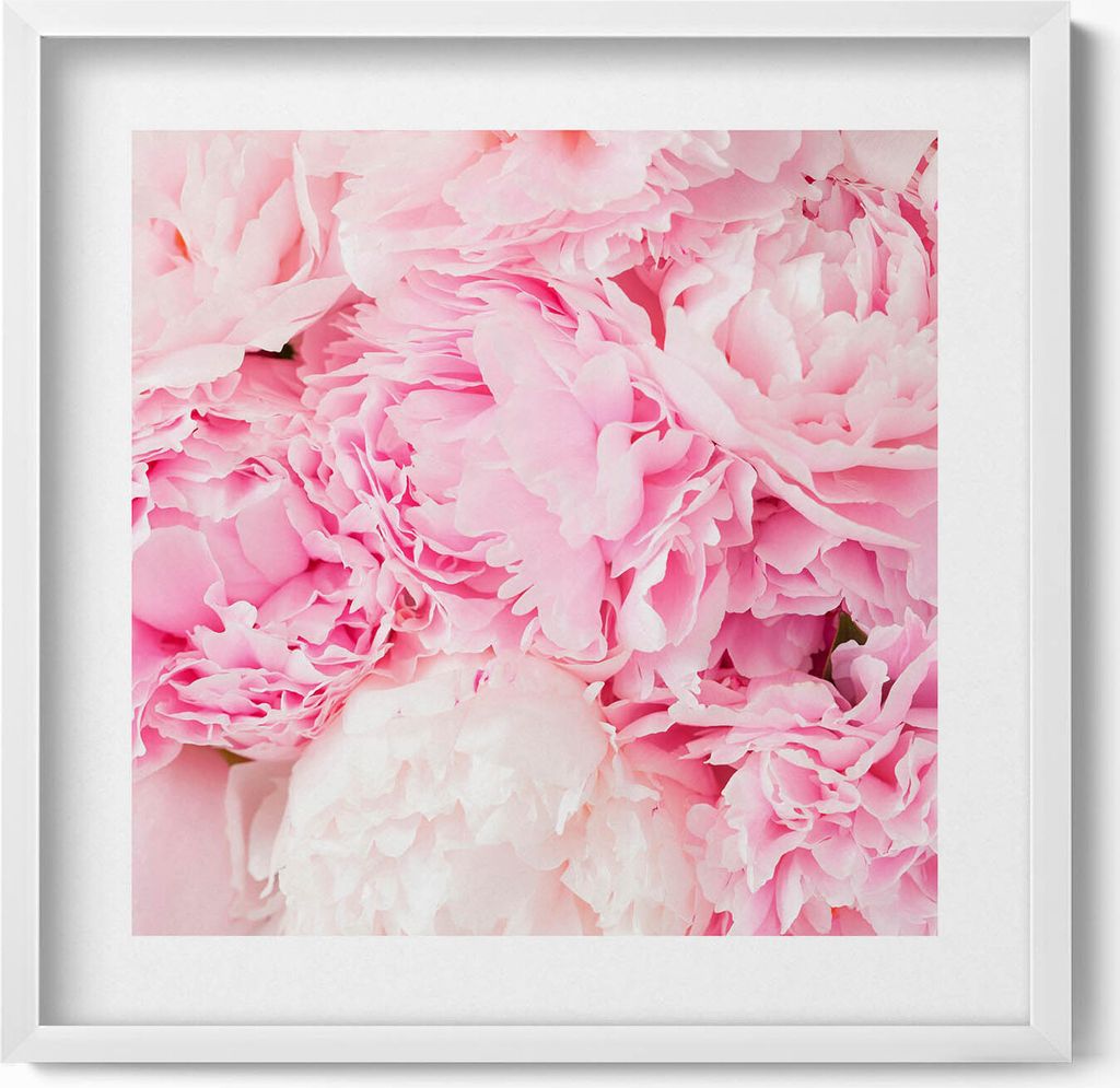 Zarte Pfingstrosenblüten– Wandbild mit Rahmen – Gerahmtes Bild – Wanddekoration – 50x50 cm – Weiß Rahmen