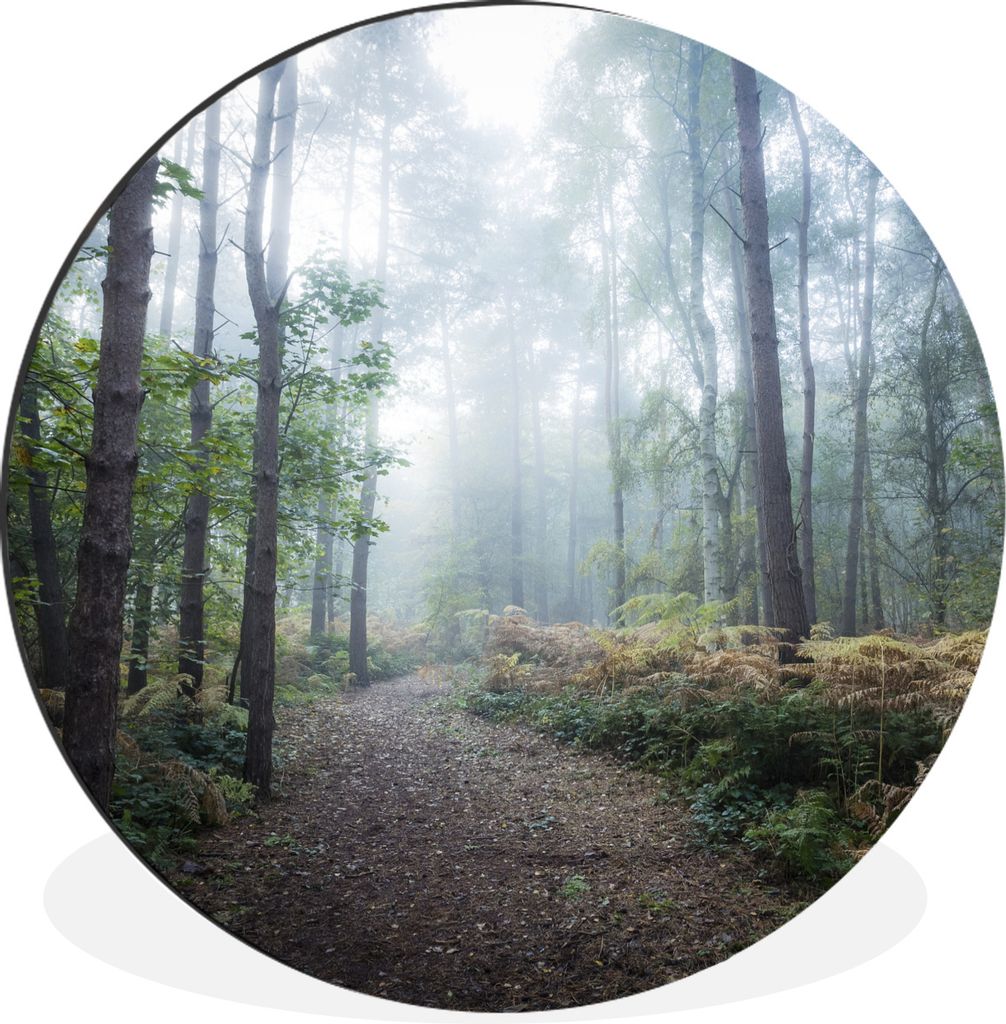 MuchoWow Aluminium Wandkreis Wald - Nebel - Weg Ø 90 cm Wanddeko Modern Wohnzimmer - Mauerkreis - Wandbilder - Runde Bild - Bild aus Aluminium -...