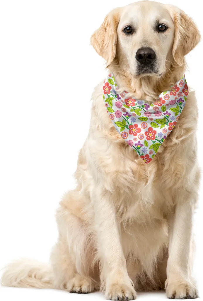 ABAKUHAUS Bandana per animali domestici con fiori, design bouquet romantico, 40x40 cm, multicolore