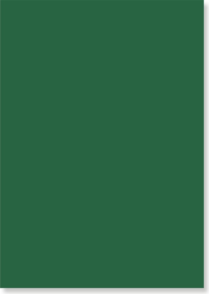 POLI-TAPE Premium Flex Bügelfolie A4 21x29.7 cm Grün