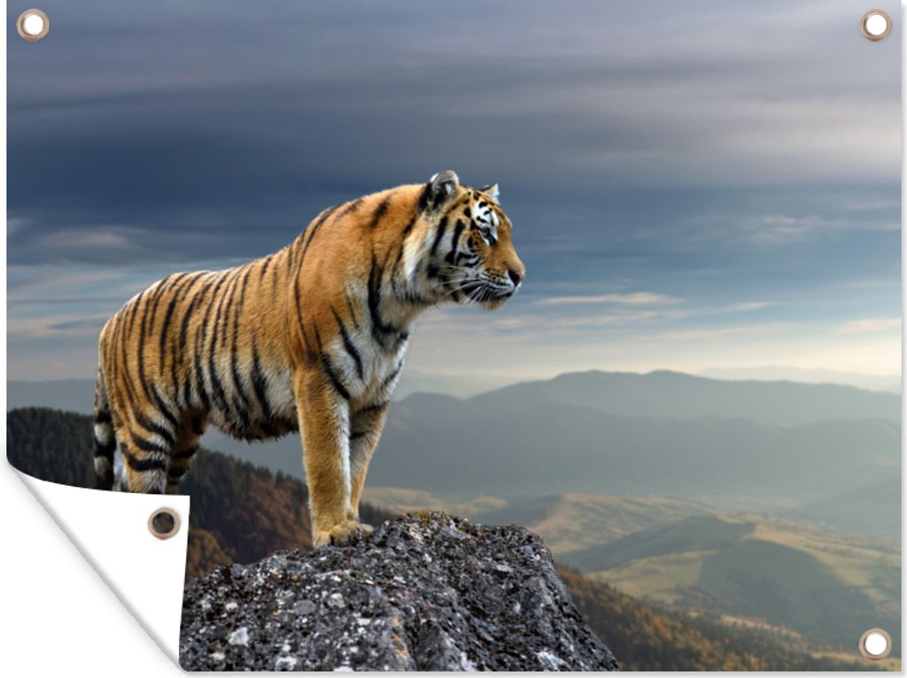 MuchoWow 40x30 cm Outdoor-Poster Gartendeko Sichtschutz Garten Poster für den Garten Tiger - Berg - Natur - Landschaft