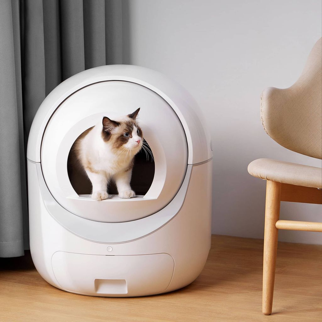 Selbstreinigende katzentoilette f r mehrere kaufland de