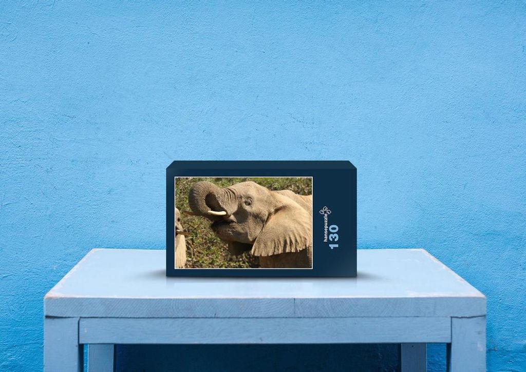 hansepuzzle 87045 - Elefant Puzzle, 130 Teile, Tierwelt, 28,7 x 20,0cm mit hochwertiger Aufbewahrung, Kartonbox und wiederverschließbarem Beutel