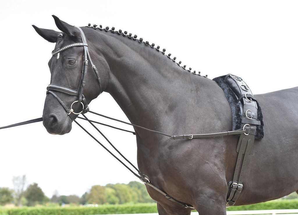 Busse Dreieckszügel Basic-Kordel, schwarz, Wiener Zügel , Größe Pferd:Warmblut