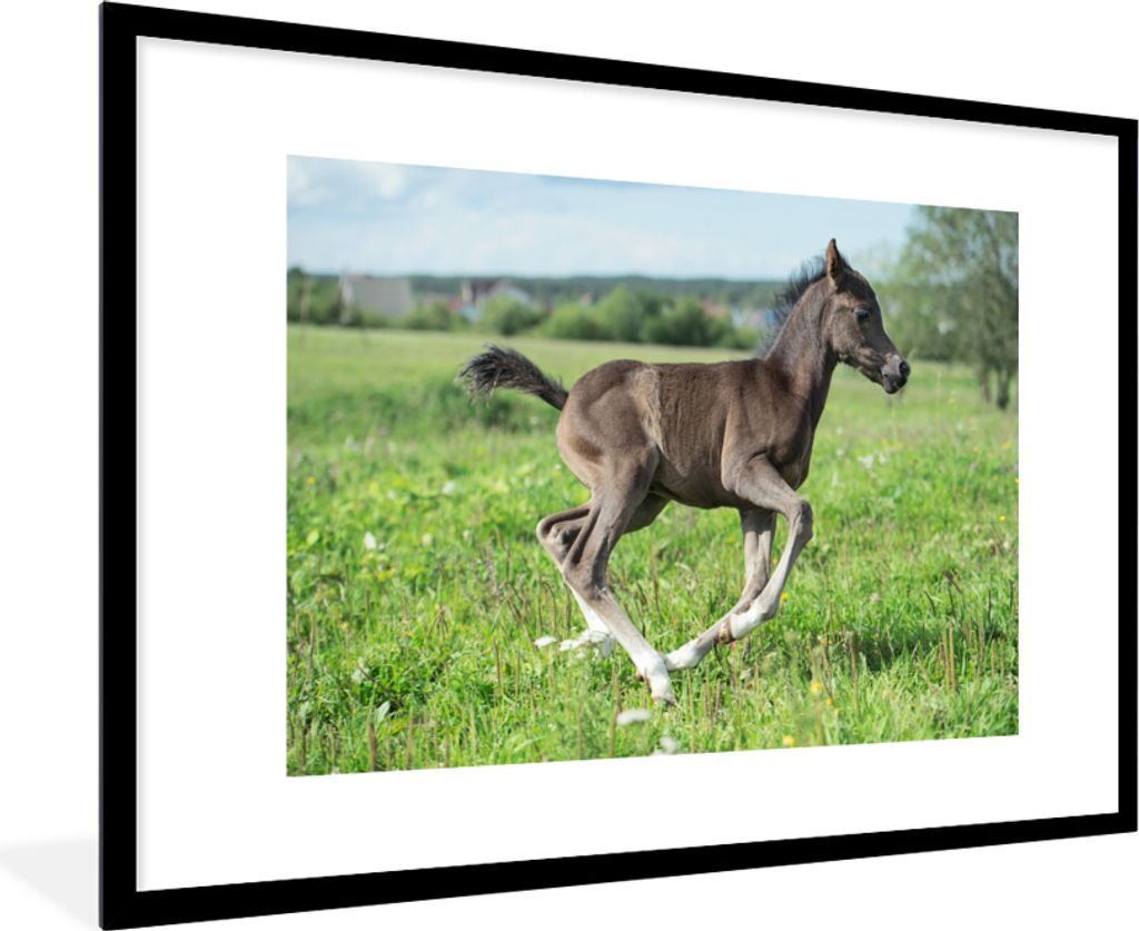 MuchoWow MuchoWow Gerahmtes Poster Pferd - Blumen - Gras 90x60 cm - Poster mit zchwarzem Bilderrahmen - Wanddekoration - Fotos