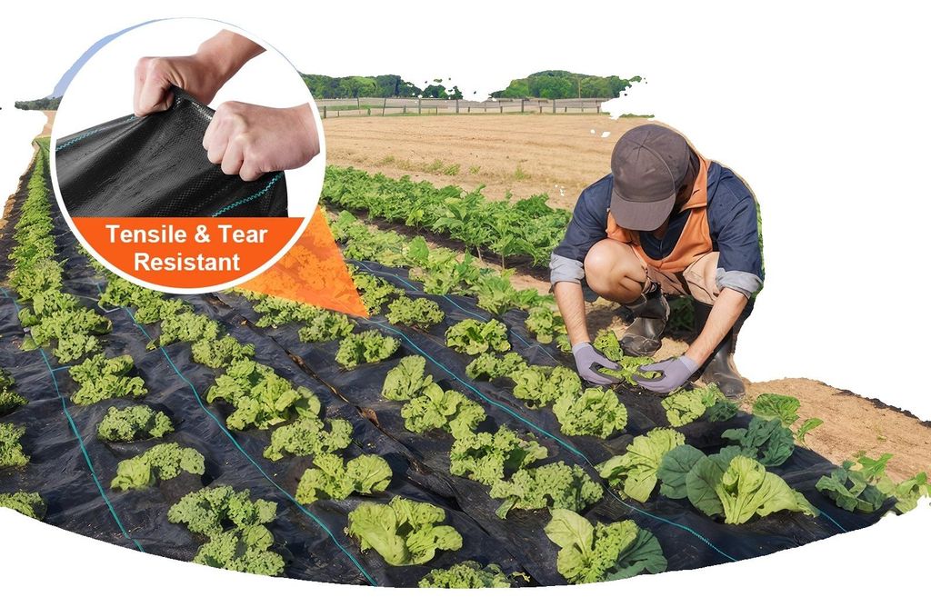 VEVOR 108g/m² Velo per erbacce da giardino contro le Immagine del prodotto 
