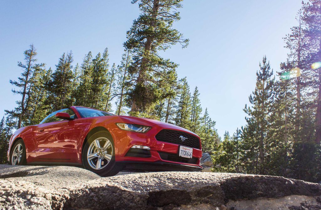 hansepuzzle 15538 - Wilder Mustang Puzzle, 500 Teile, Fortbewegung, 46,0 x 30,0cm mit hochwertiger Aufbewahrung, Kartonbox & Beutel