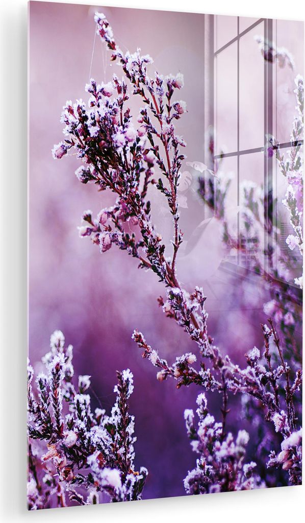 MuchoWow Glasbilder - Bilder auf Wandbild - Foto auf Glas Lavendel - Winter - Blumen - Lila 40x60 cm Wanddekoration aus Glas - Acrylglasbild - Acry...