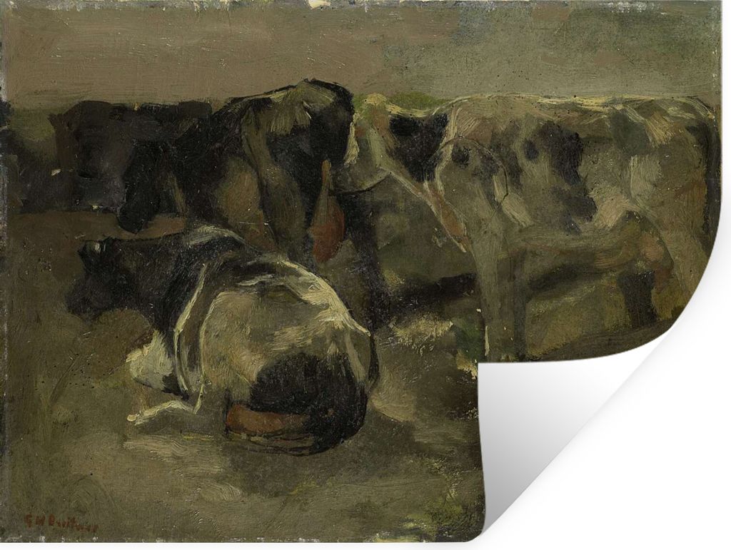 MuchoWow - Faltenfrei