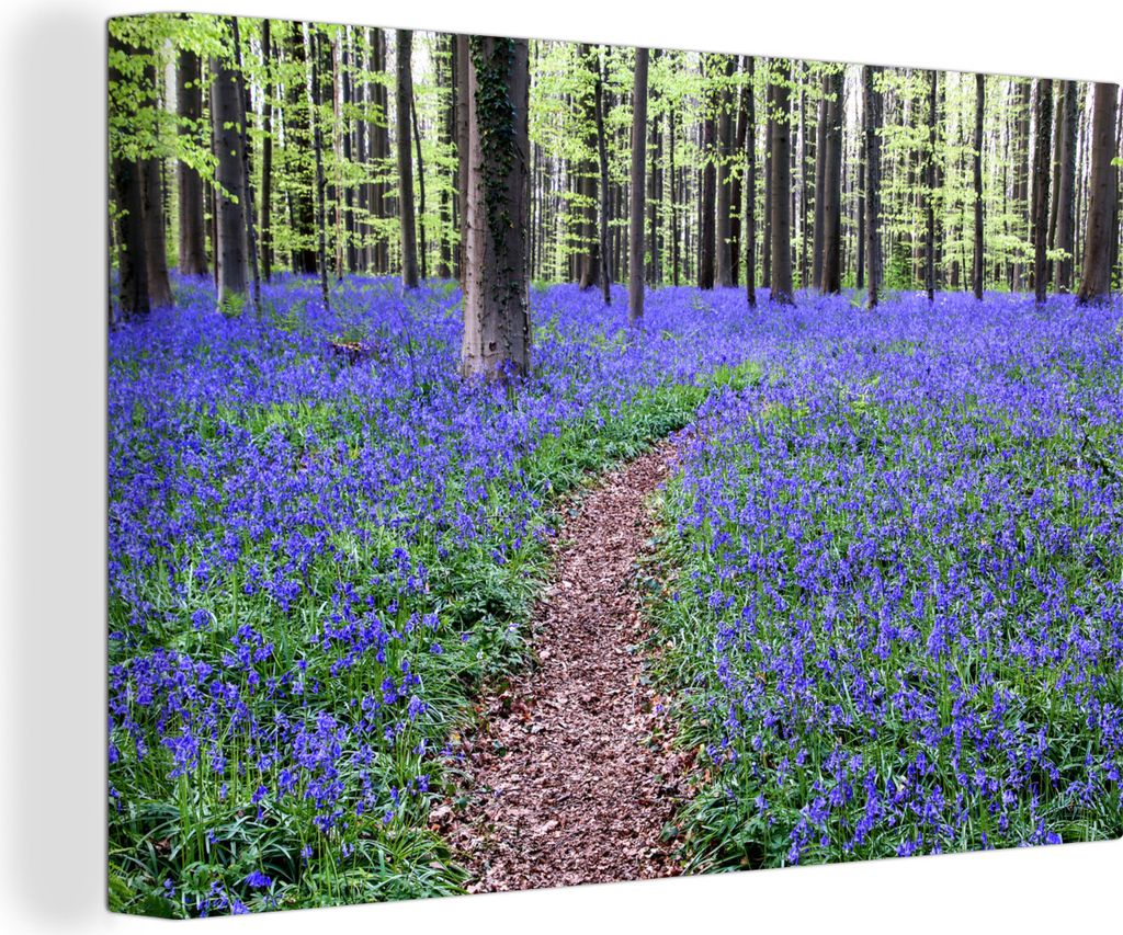 OneMillionCanvasses - Leinwandbilder - 140x90 cm, Wald aus blauen Hyazinthen, Wandbilder Kunstdruck Wanddekoration