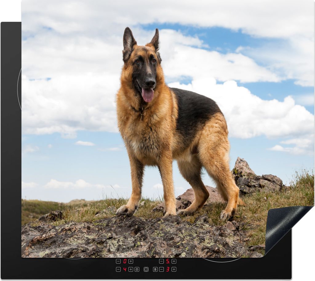 KitchenYeah Herdabdeckplatte Deutscher Schäferhund auf einem Berg , 58x51cm, Küche Deko, Glaskeramikfeld Herdabdeckung, Abdeckplatte fùr Kochfeld