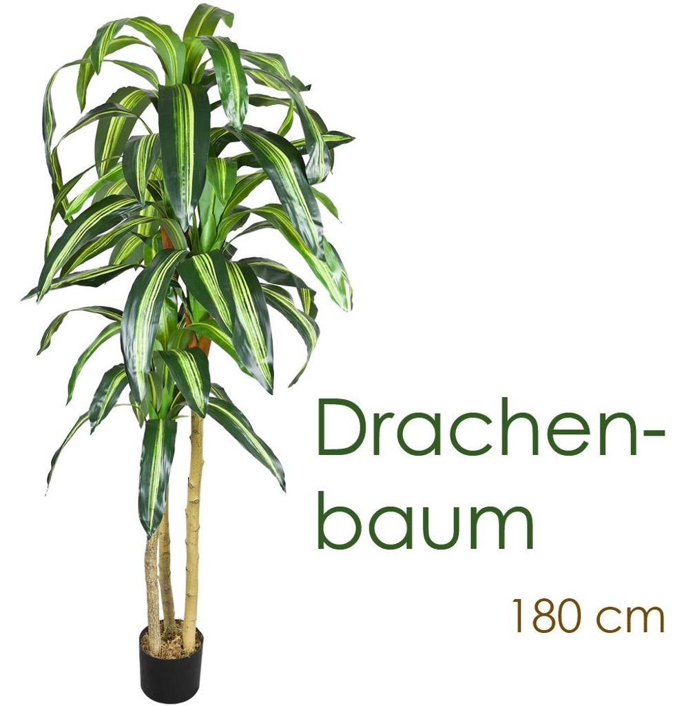 Drachenbaum Künstlich Kunstbaum Kunstpflanze Kunstbaum Produktbild 