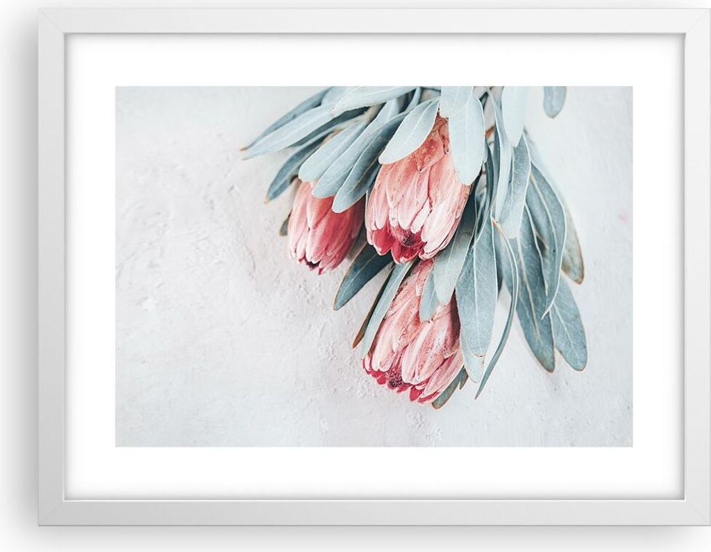 Gerahmtes Poster - Weißer Rahmen - Blume Eukalyptus Australier - 40x30 cm - Wand Bild - Wanddeko - Wandbilder - Kunstposter - Wandposter - Bilderr...